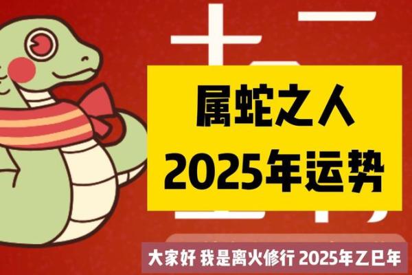 属蛇运势解析与发展机遇