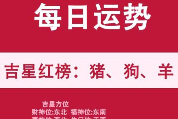 每日生肖运程预测：如何把握今天的机会