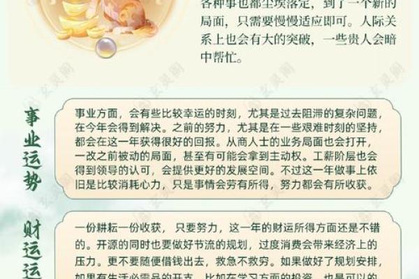 十二生肖全年运程大揭秘：谁将迎来事业与爱情的突破