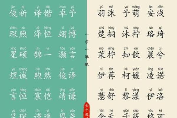 宝宝名字挑选:传统与现代的平衡 宝宝名字挑选:传统与现代的平衡