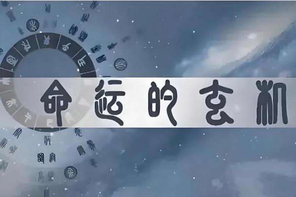 四两为何被认为是中下命的象征分析
