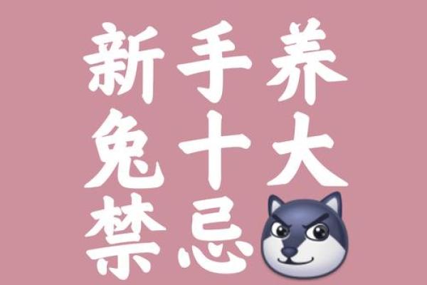 本命年兔男如何保持健康的生活方式