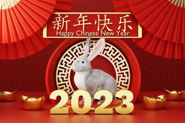 本命年属虎的情感生活与事业规划
