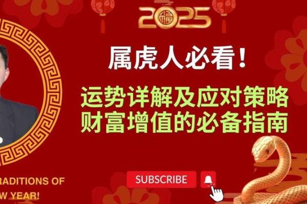 本命年属虎的情感生活与事业规划