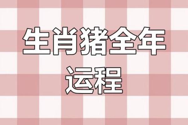 属猪人士每月运势解析