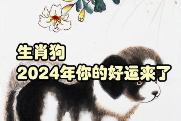 属狗人每月运势指南，带你走过全年运势起伏