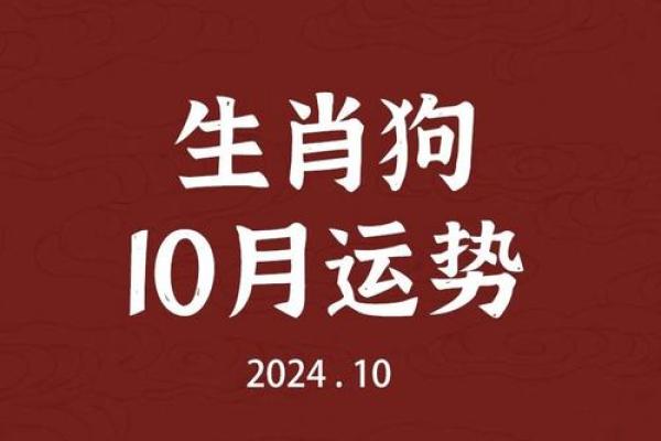 属狗人每月运势指南，带你走过全年运势起伏