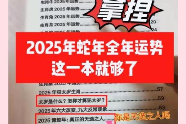 生肖运势宝典：2025年农历属相详解，万年历带您预见未来