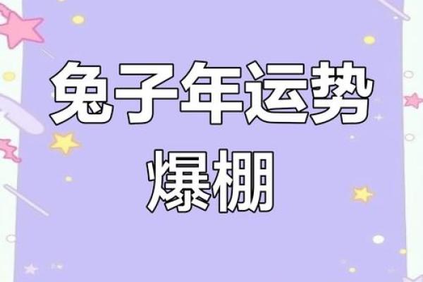 属兔人一生运势如何变化？详解关键转折点