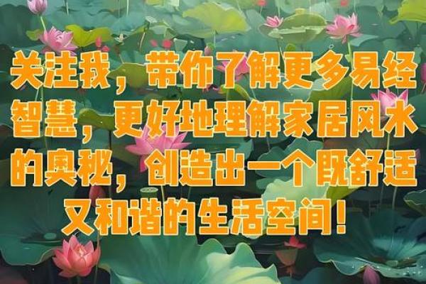 曾祥裕风水的核心理念 让你生活更顺畅