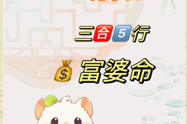 属鼠人今年财运如何？一探运势的升降趋势