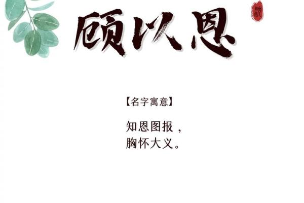宝宝起名指南：如何为你的宝贝选一个与众不同的名字