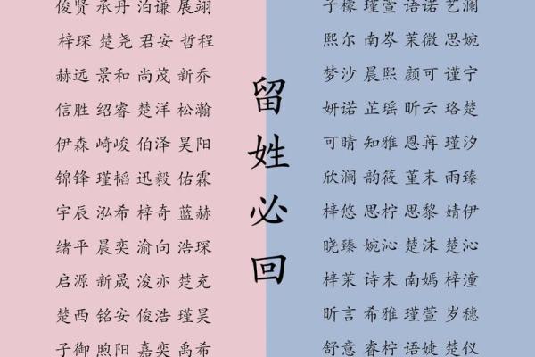 白姓女孩名字推荐：从传统到现代的完美结合