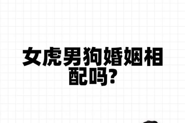 本命年虎男的婚姻生活会有何变动