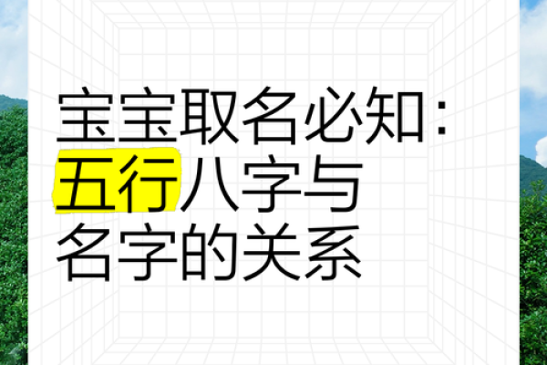 宝宝八字分析与名字选择指南