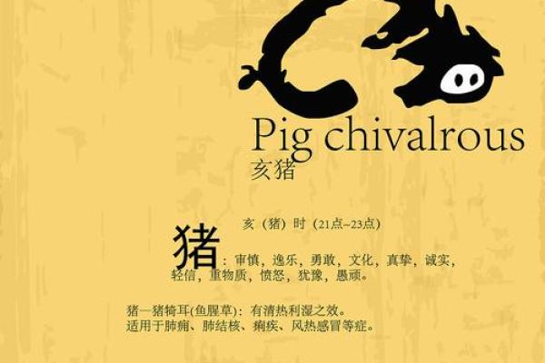 木猪性格与最佳配对生肖深度分析 木猪性格与最佳配对生肖深度分析