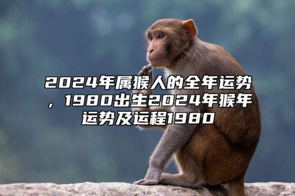 猴人每月财运和事业运势