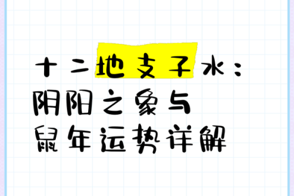 鼠年每月运程预测：运势变化与应对策略