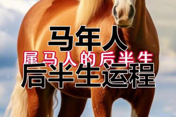 属马每月运程大揭示，事业感情财富运势全掌握