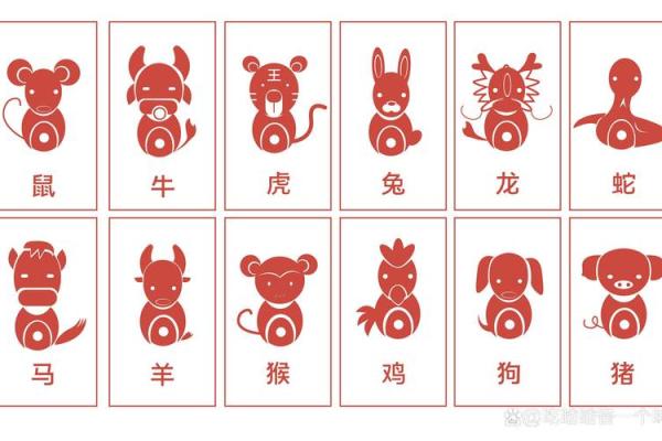各生肖运程详解