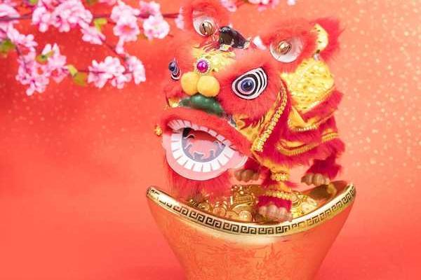 本命年虎男如何面对生命中的大考验