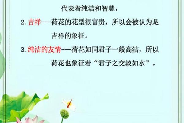 从莲的名字看中华传统文化的底蕴