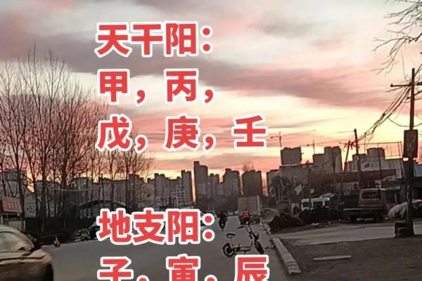 八字纯阳男命的优势与潜在风险