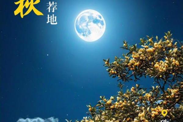 农历十五，带你感受最美的中秋夜
