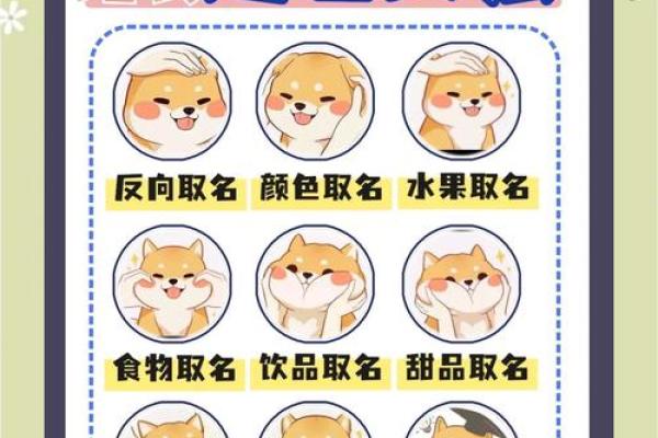 宠物行业公司命名创意指南 让品牌更具吸引力