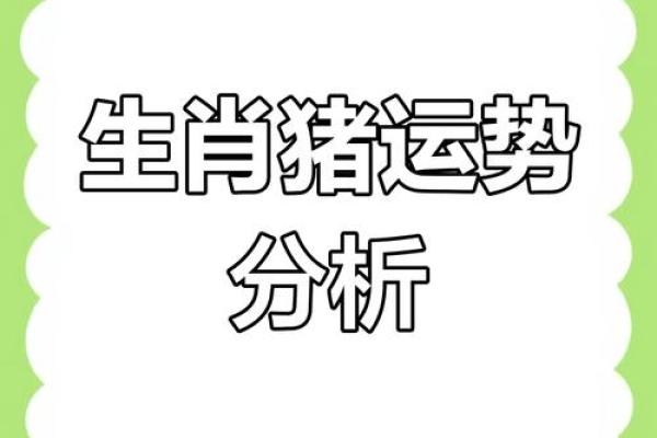 猪年出生的你每月运程分析，如何化解运势波动