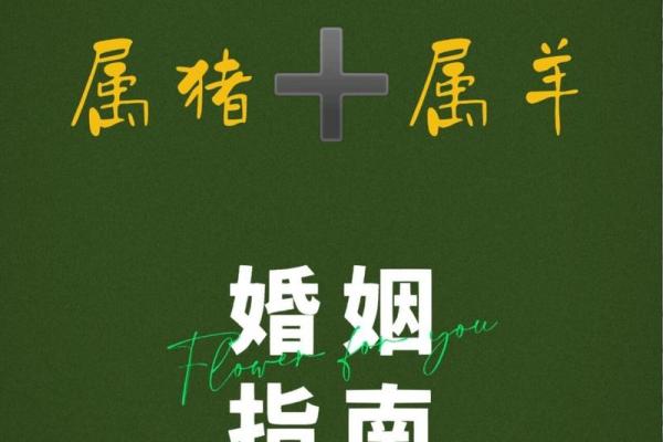 属猪与属羊的婚配分析 关系如何发展 属猪与属羊的婚配分析 关系如何发展