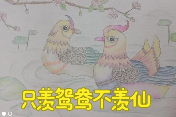 半鸳鸯命的真实含义及其对人生的影响
