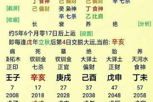 出生的人五行属什么命？揭秘你的命理特点与运势分析
