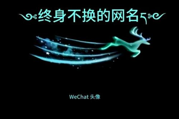 创意无限，打造一个充满个性的酷炫名字