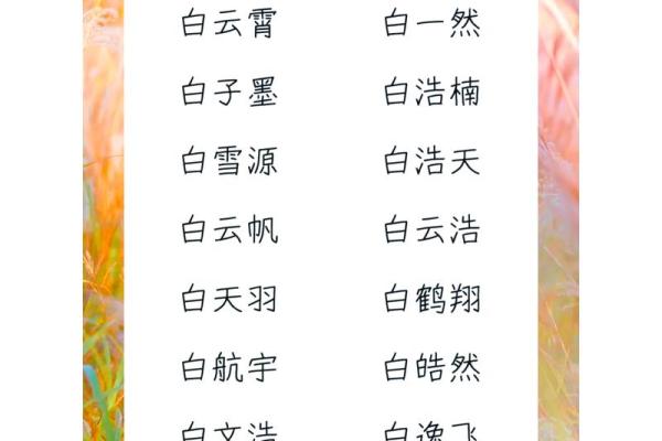 白姓名字的寓意与文化背景解析