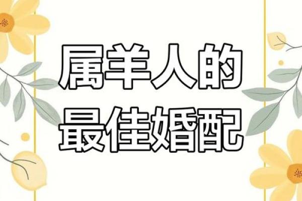 免羊配婚姻:能否创造美满的生活 免羊配婚姻:能否创造美满的生活