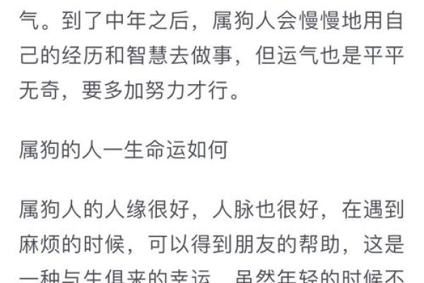属狗人今年运势如何？深入解读整体运程