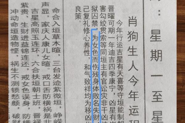 属狗人今年运势如何？深入解读整体运程
