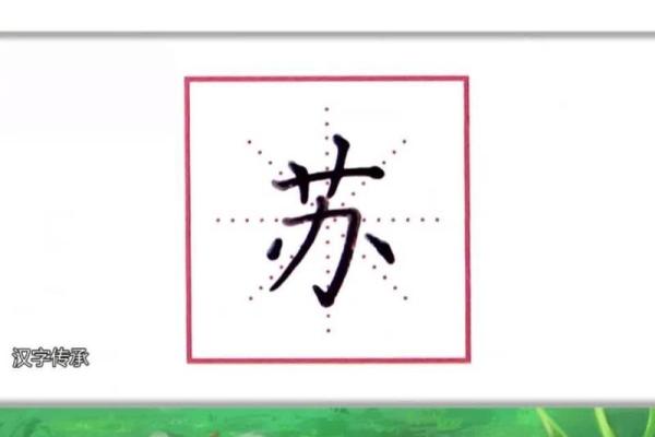 从古至今：苏字名字的演变与传承