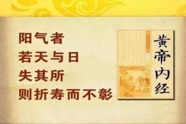 从传统到现代，带阳的名字如何影响人生