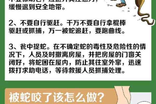 本命年蛇男的情感挫折与应对方法