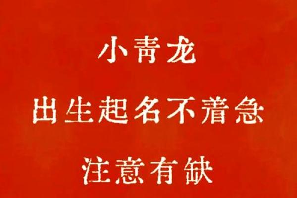 宝宝名字的奥秘:从文化和性格出发 宝宝名字的奥秘:从文化和性格出发