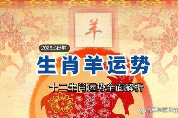 属羊人的每月财运与事业运势解析