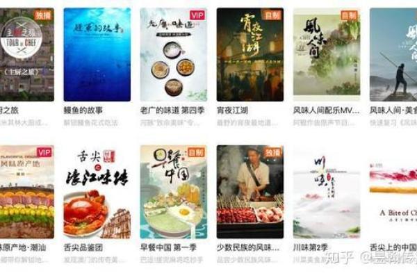 B站名字的故事：从一个字母到现象级平台的蜕变