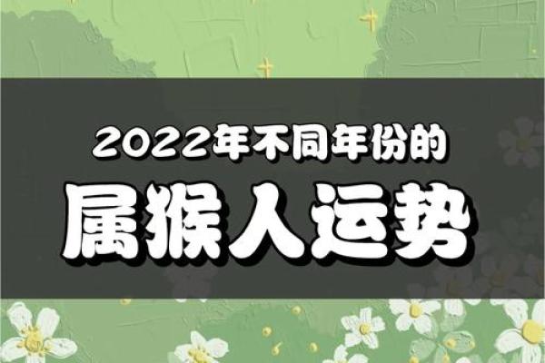 属猴人运势波动：每月运程详解与注意事项