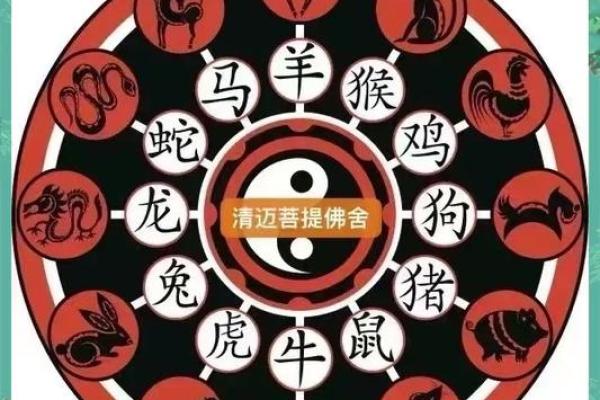 生肖运势如何提升，化解不利因素