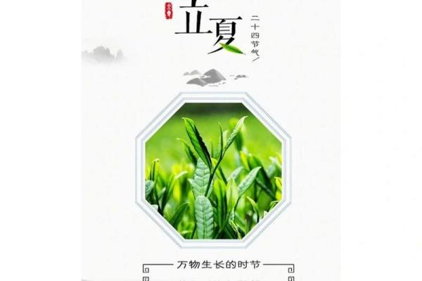 立夏时节，万物生长，万年历带你领略春末夏初之美