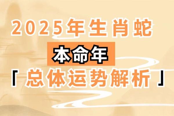 本命年蛇男如何调整生活重心与方向