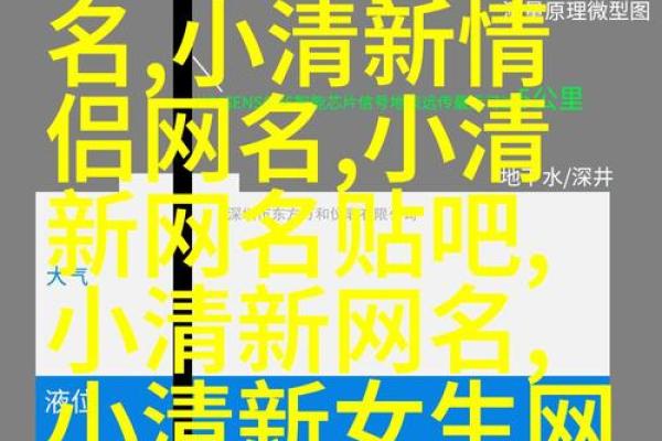 吃鸡玩家必备，个性化游戏名字设计指南