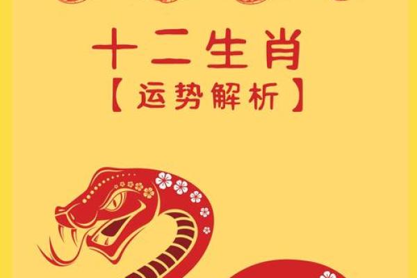 详细解析属蛇人每月运势变化